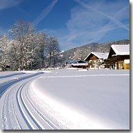 Das Loipennetz liegt direkt vor der Haustüre.